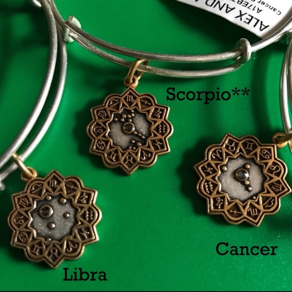 Alex and Ani two tone zodiac bangles astrology NWT - Picture 4 of 4